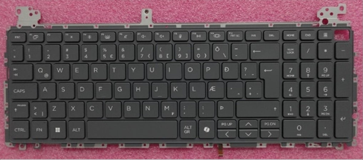 P42484-DD1