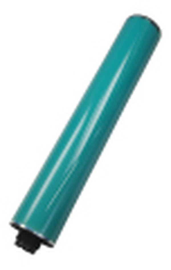 D0099510