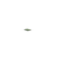 N19618-007