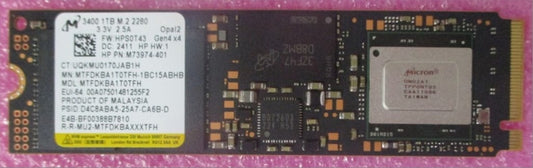N24954-001