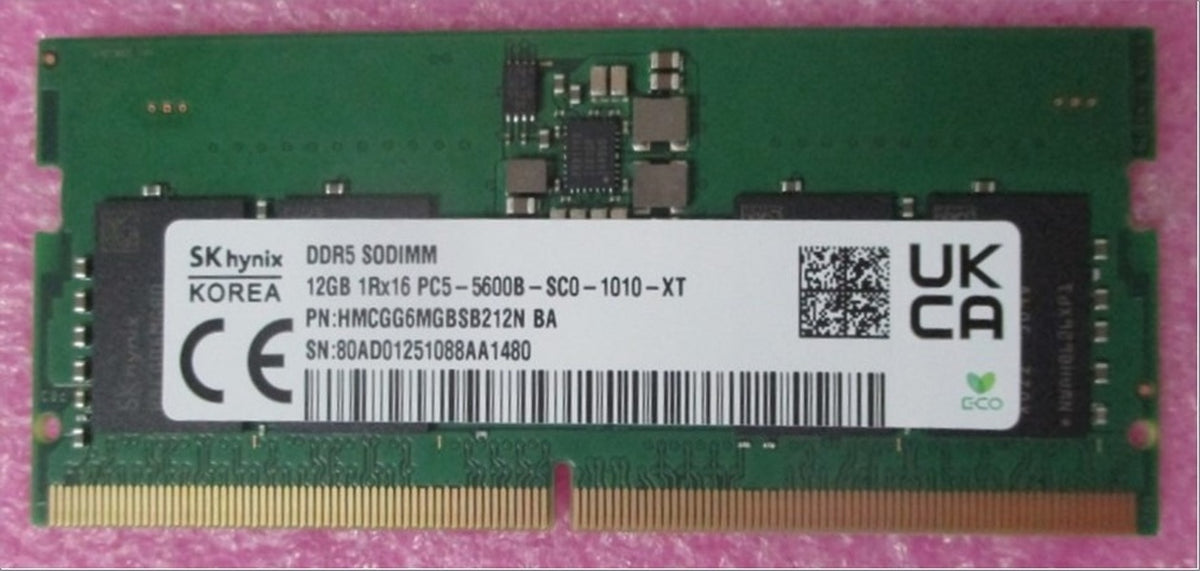 P33447-005